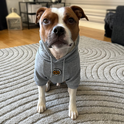 Staffordshire Bull Terrier 1935® Hoodies - Grey