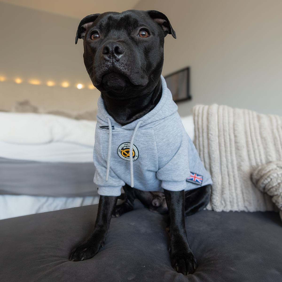 Staffordshire Bullterrier 1935® Hoodies - Grå