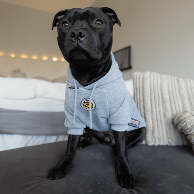 Staffordshire Bull Terrier 1935® Hoodies - Grey