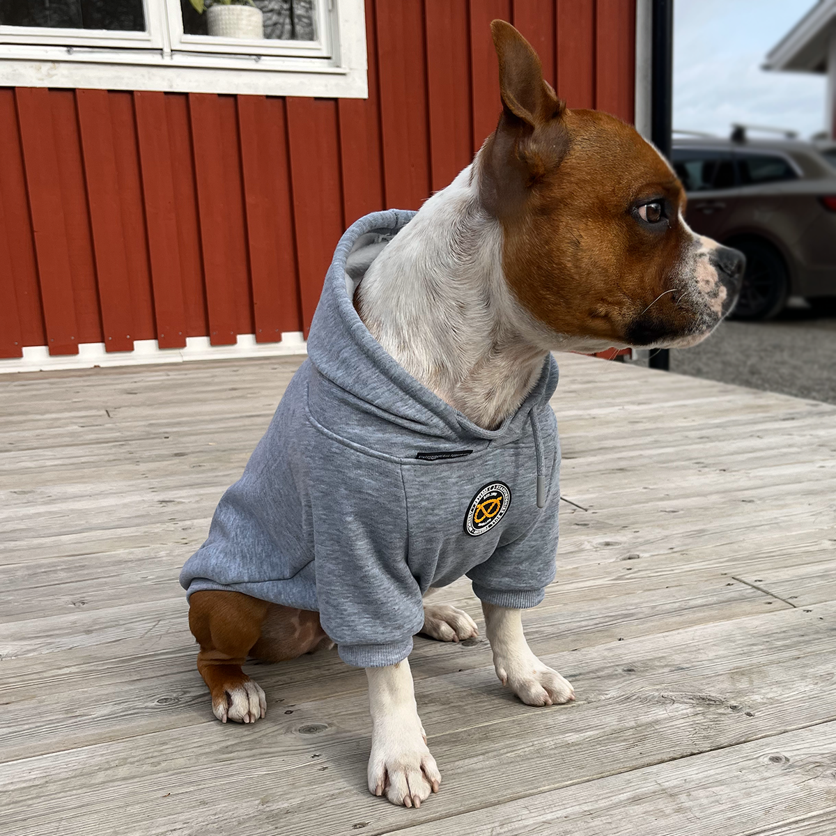 Staffordshire Bullterrier 1935® Hoodies - Grå