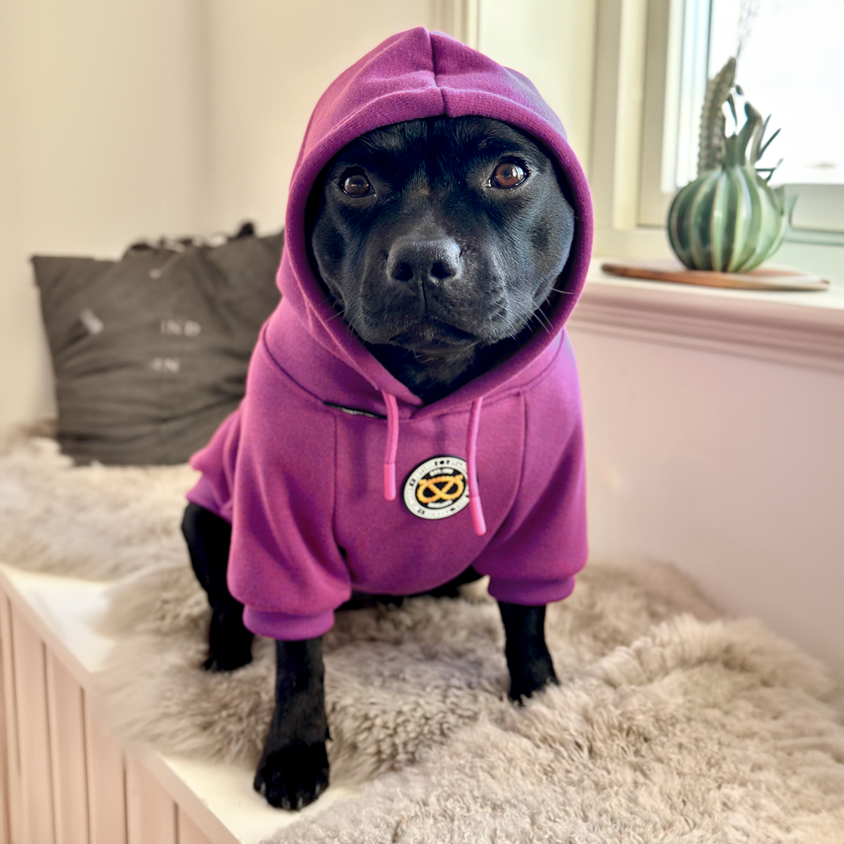 Staffordshire Bullterrier 1935® Hoodie - Lila
