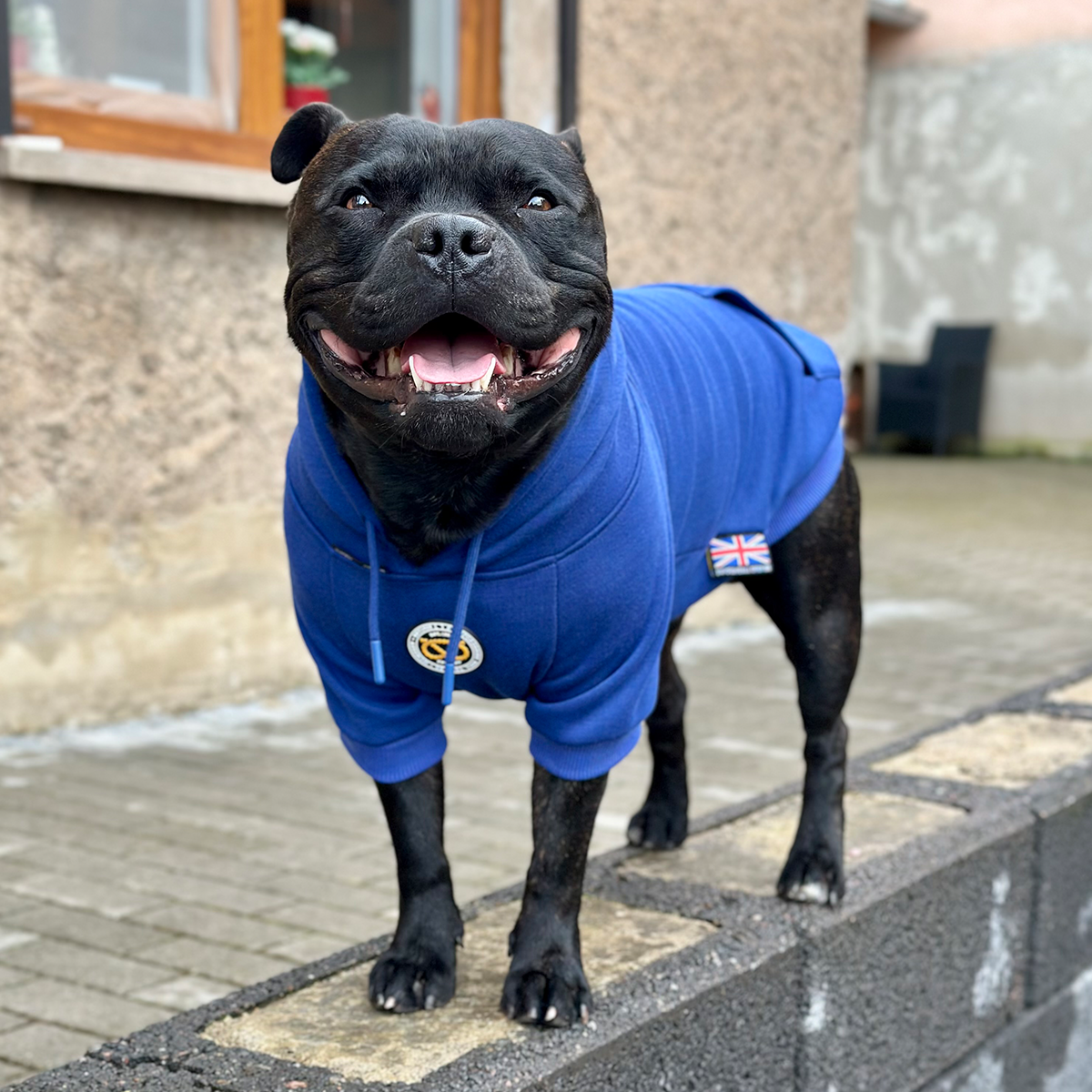 Staffordshire Bullterrier 1935® Hoodie - Blå