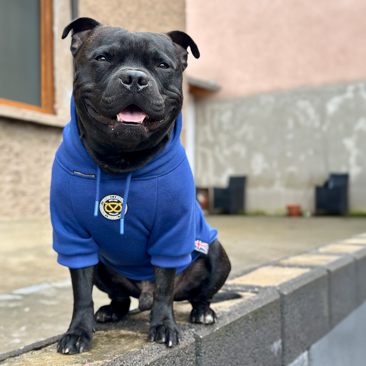 Staffordshire Bullterrier 1935® Hoodie - Blå