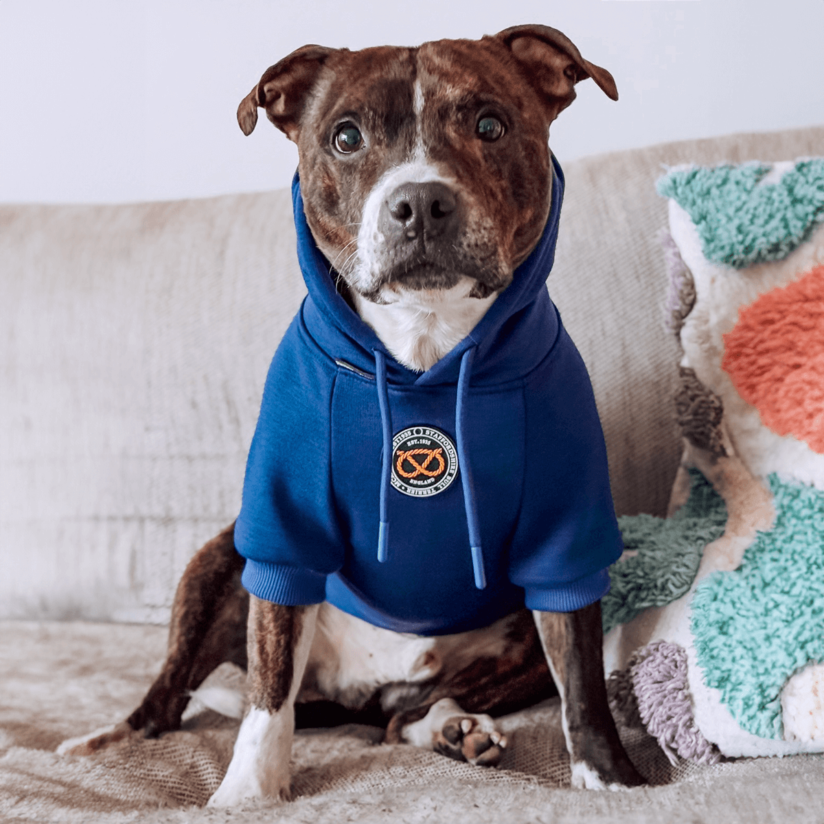 Staffordshire Bullterrier 1935® Hoodie - Blå