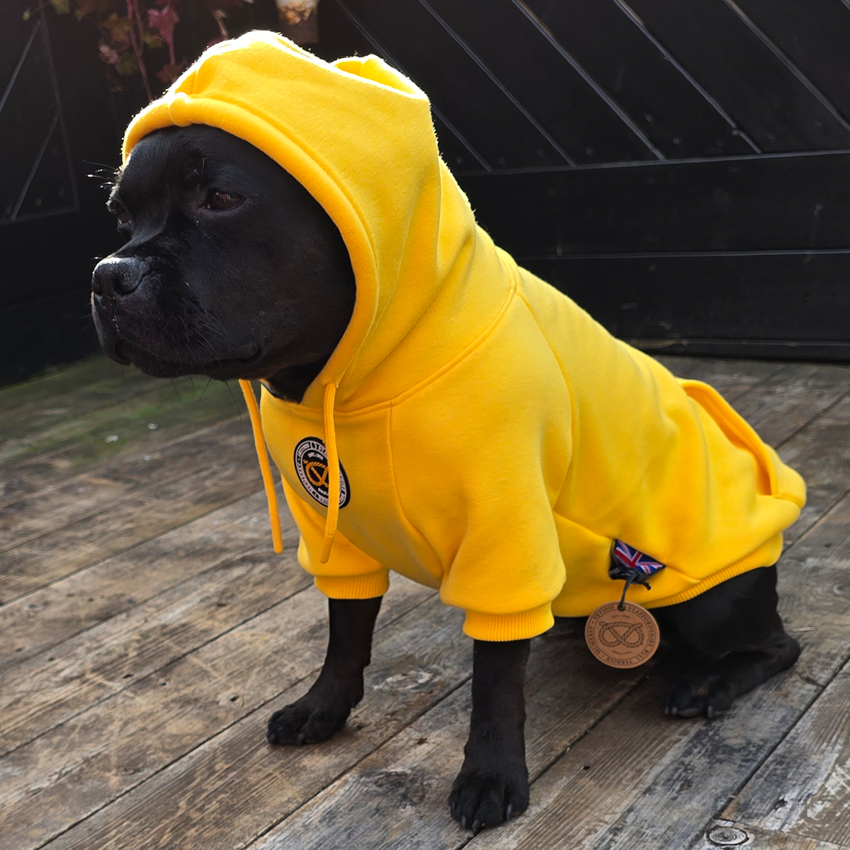 Staffordshire Bullterrier 1935® Hoodie - Gul