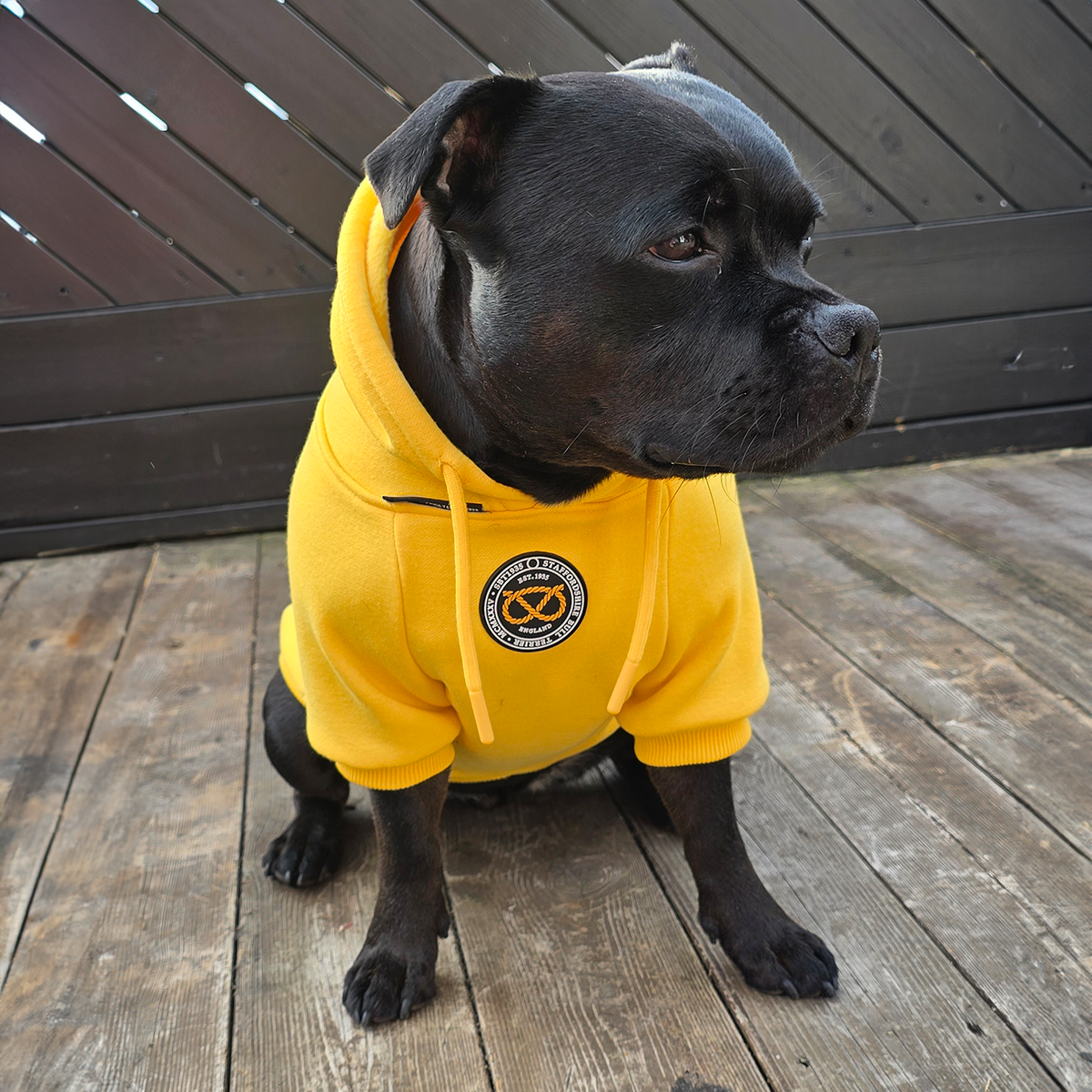 Staffordshire Bullterrier 1935® Hoodie - Gul
