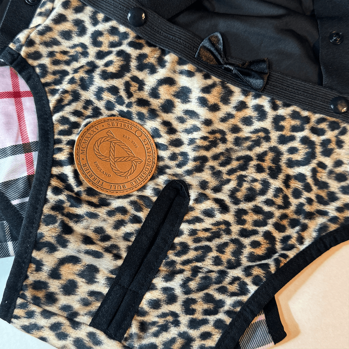 Staffordshire Bull Terrier 1935® Tikskydd med Hängslen - Leopard