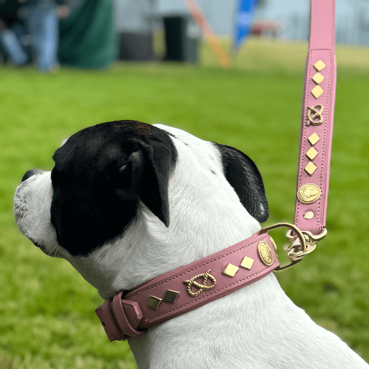 Staffordshire Bull Terrier 1935® Läderhalsband & Koppel Set - Gentleman Jim - Babyrosa/Guld