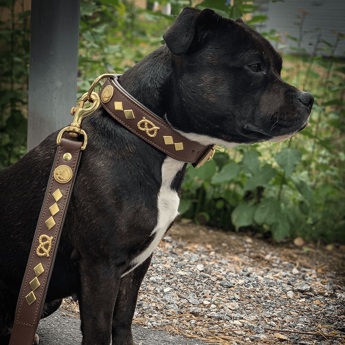 Staffordshire Bull Terrier 1935® Läderhalsband & Koppel Set - Gentleman Jim - Brun/Guld