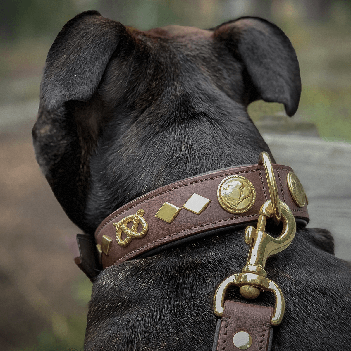 Staffordshire Bull Terrier 1935® Läderhalsband & Koppel Set - Gentleman Jim - Brun/Guld