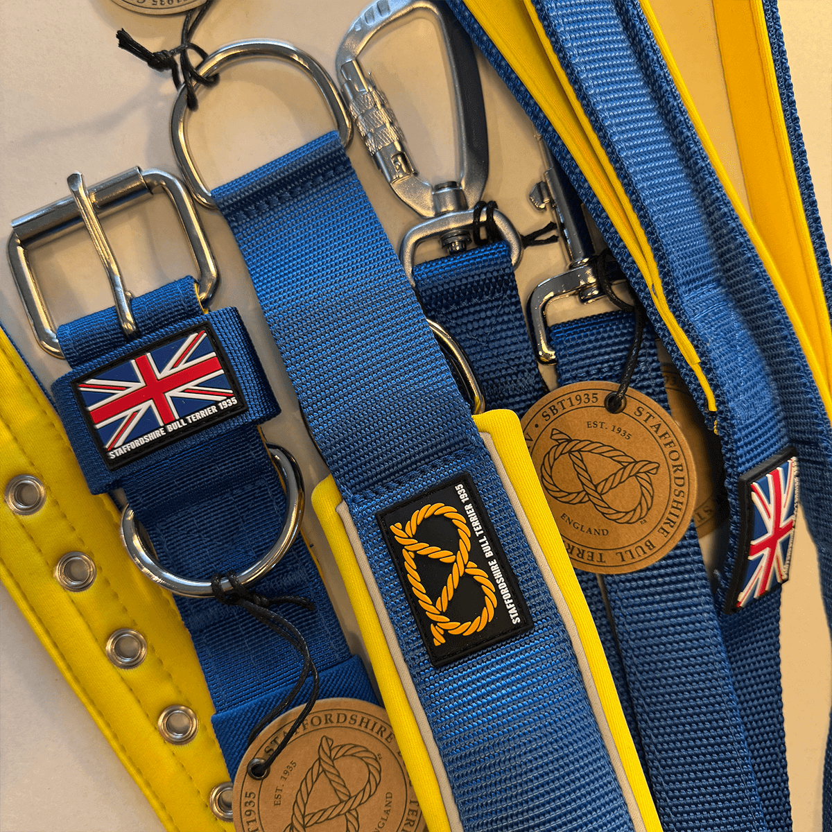 Staffordshire Bull Terrier 1935® Nylon Collar - Royal Blue & Yellow - UK Flag