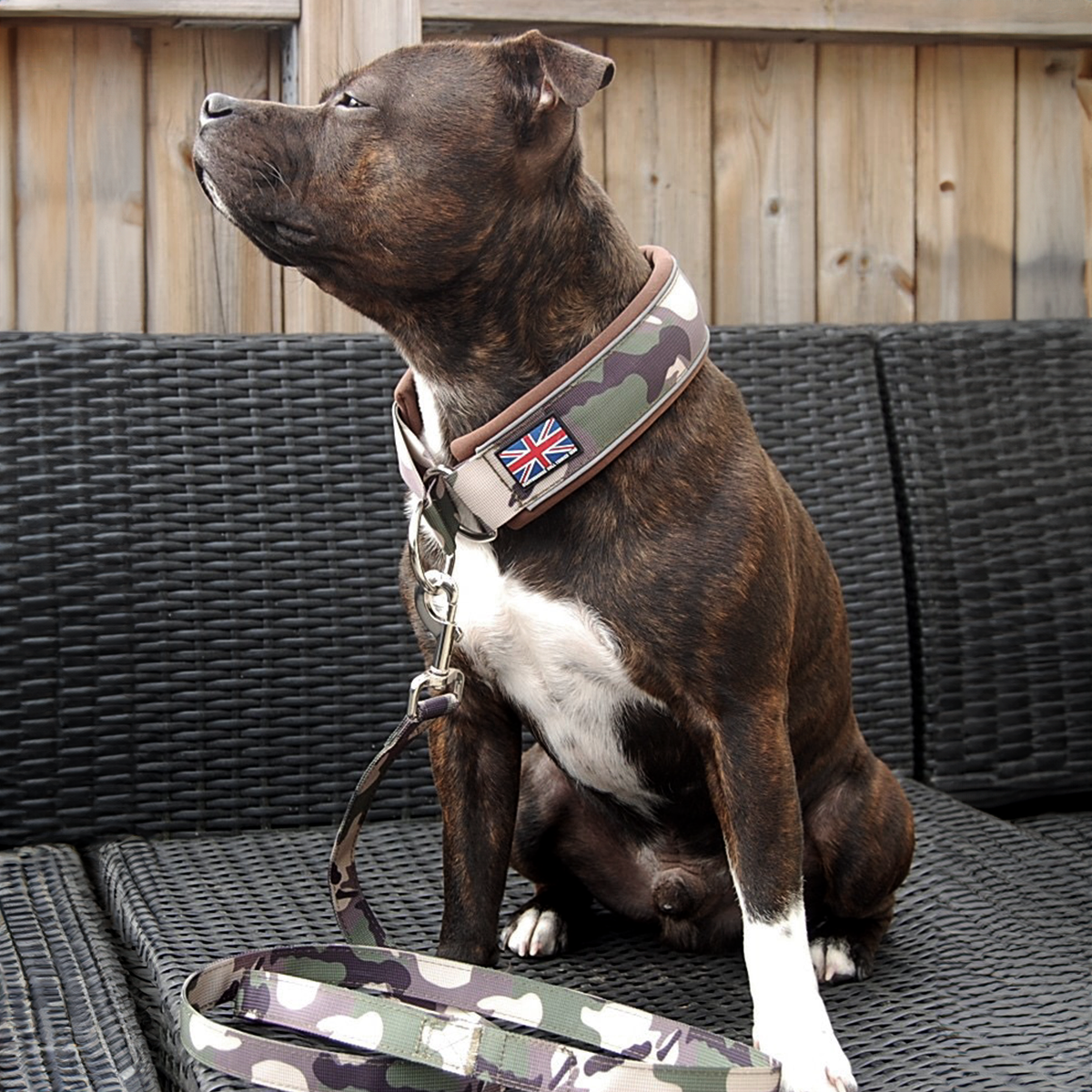 Staffordshire Bull Terrier 1935® Martingale Halsband - Klassisk Camo & Choklad