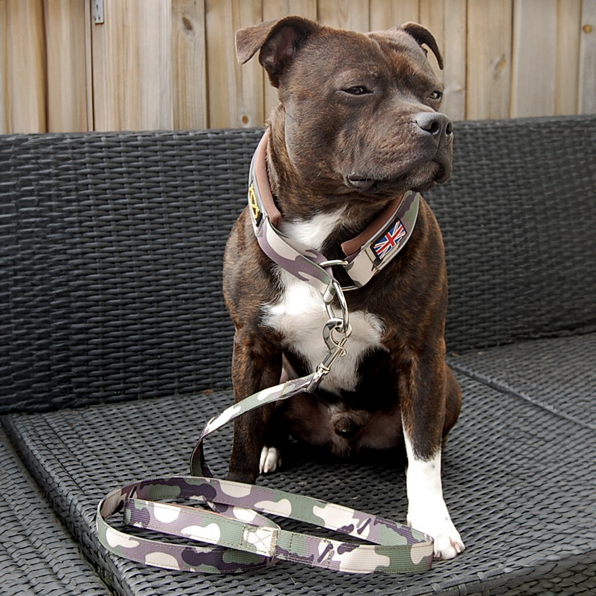 Staffordshire Bull Terrier 1935® Martingale Halsband - Klassisk Camo & Choklad