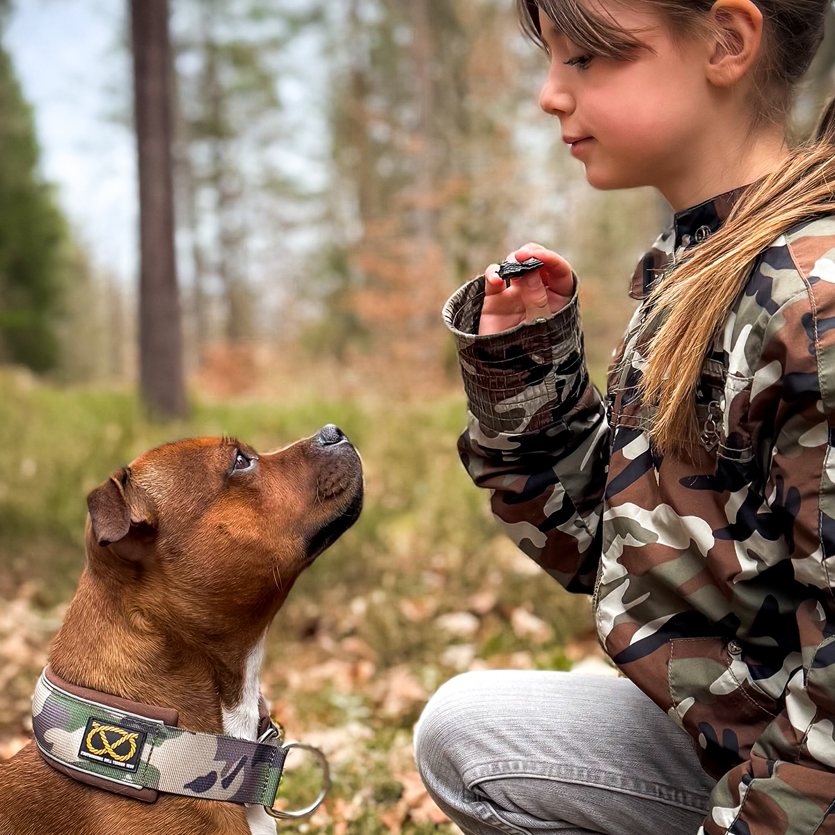 Staffordshire Bull Terrier 1935® Martingale Halsband - Klassisk Camo & Choklad