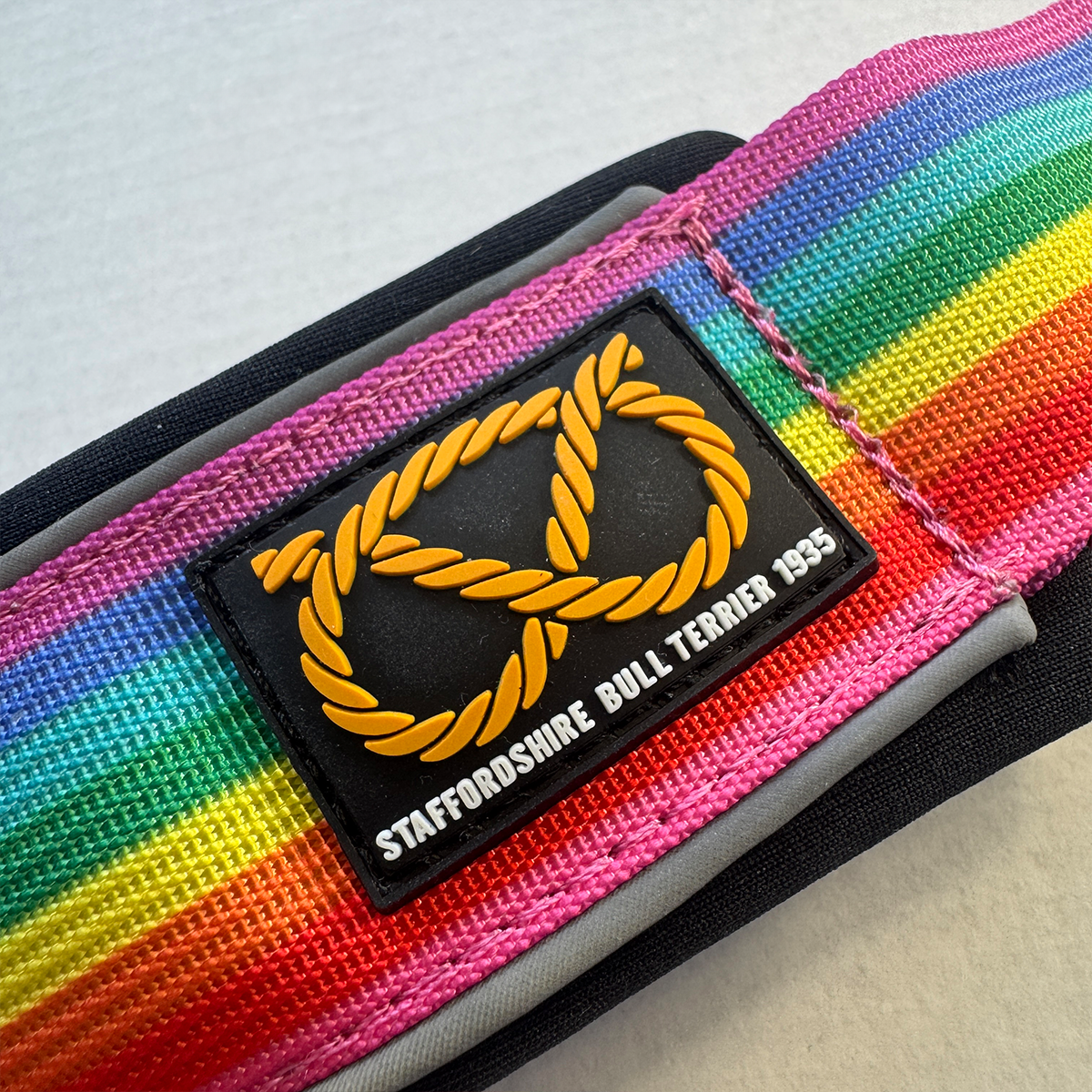 Staffordshire Bull Terrier 1935® Martingale Halsband - Rainbow Edition