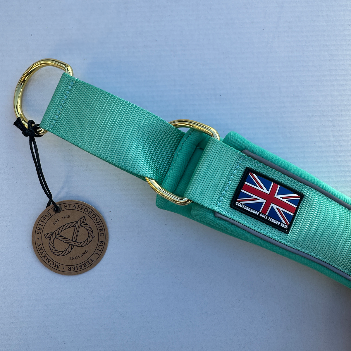 Staffordshire Bull Terrier 1935® Martingale Collar - Ayla Staffany Edition - Turquoise & Gold