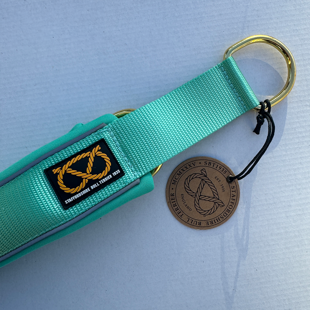 Staffordshire Bull Terrier 1935® Martingale Collar - Ayla Staffany Edition - Turquoise & Gold