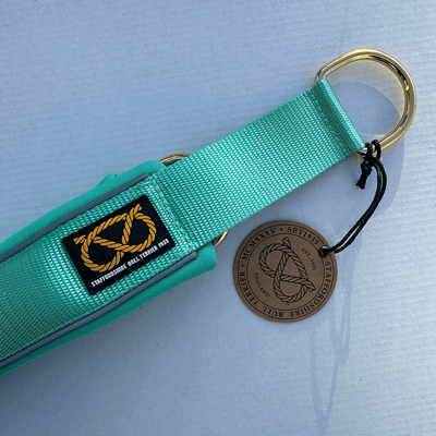 Staffordshire Bull Terrier 1935® Martingale Collar - Ayla Staffany Edition - Turquoise & Gold