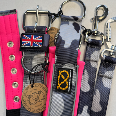 Staffordshire Bull Terrier 1935® Nylon Collar - Night Camo & Neon Pink