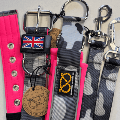 Staffordshire Bull Terrier 1935® Laisse Nylon - Nuit Camo et Rose Fluo - Normale