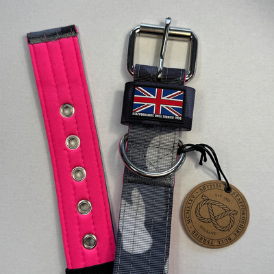 Staffordshire Bull Terrier 1935® Nylon Collar - Night Camo & Neon Pink