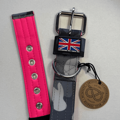 Staffordshire Bull Terrier 1935® Collier Nylon - Nuit Camo et Rose Fluo