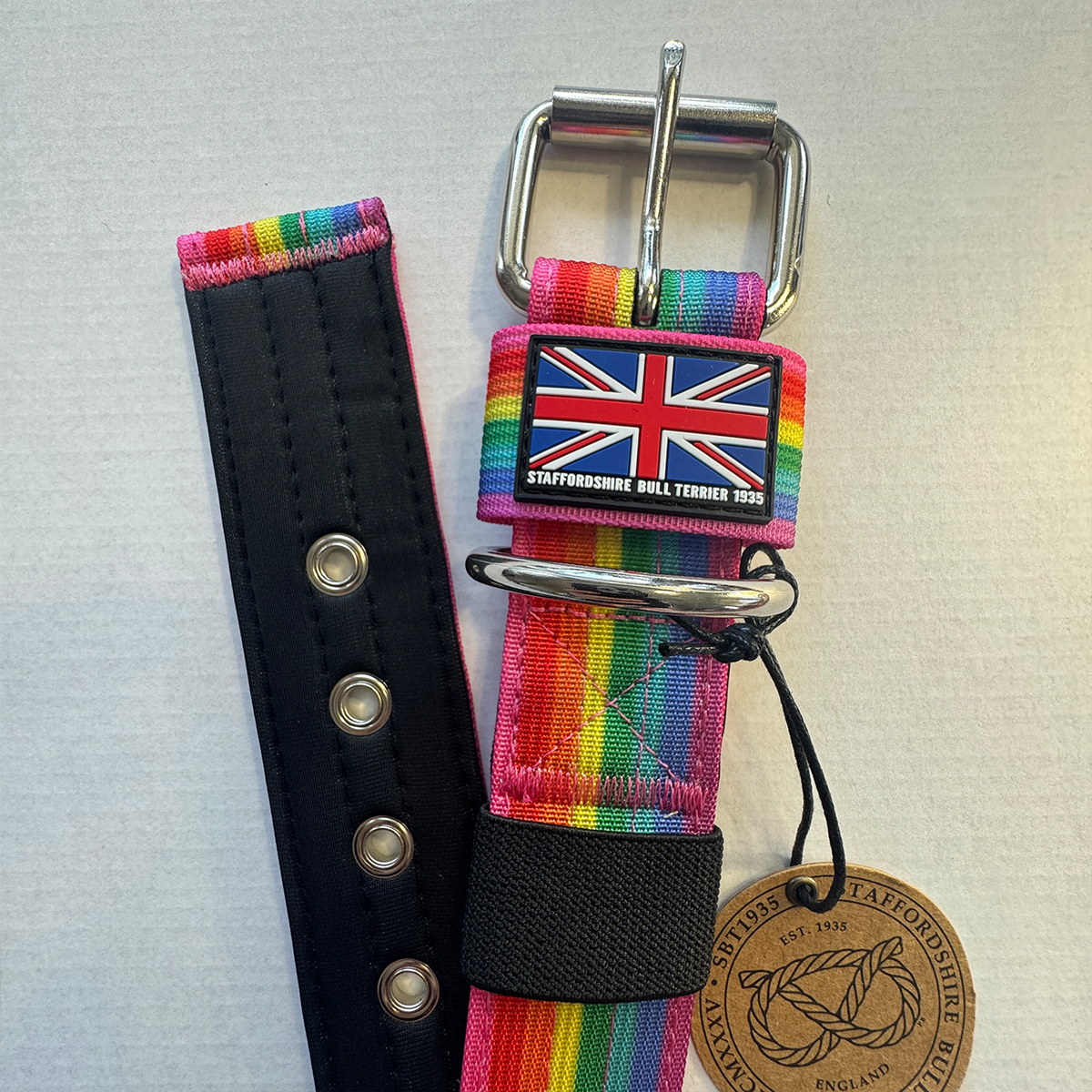 Staffordshire Bull Terrier 1935® Nylon Collar - Rainbow Edition