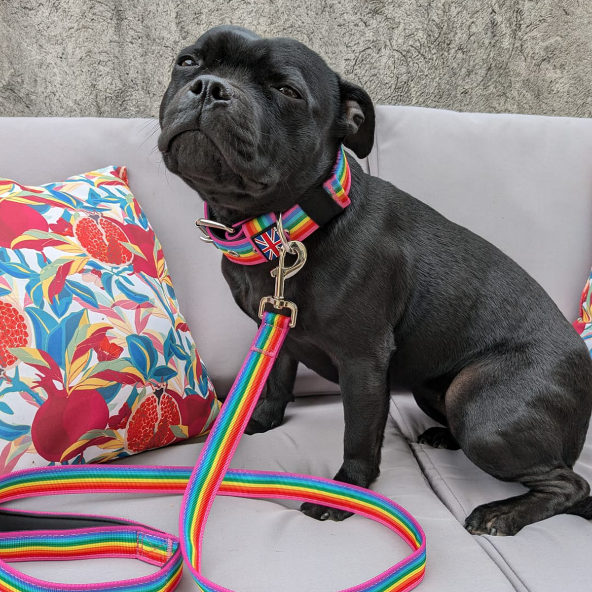Staffordshire Bull Terrier 1935® Nylon Collar - Rainbow Edition