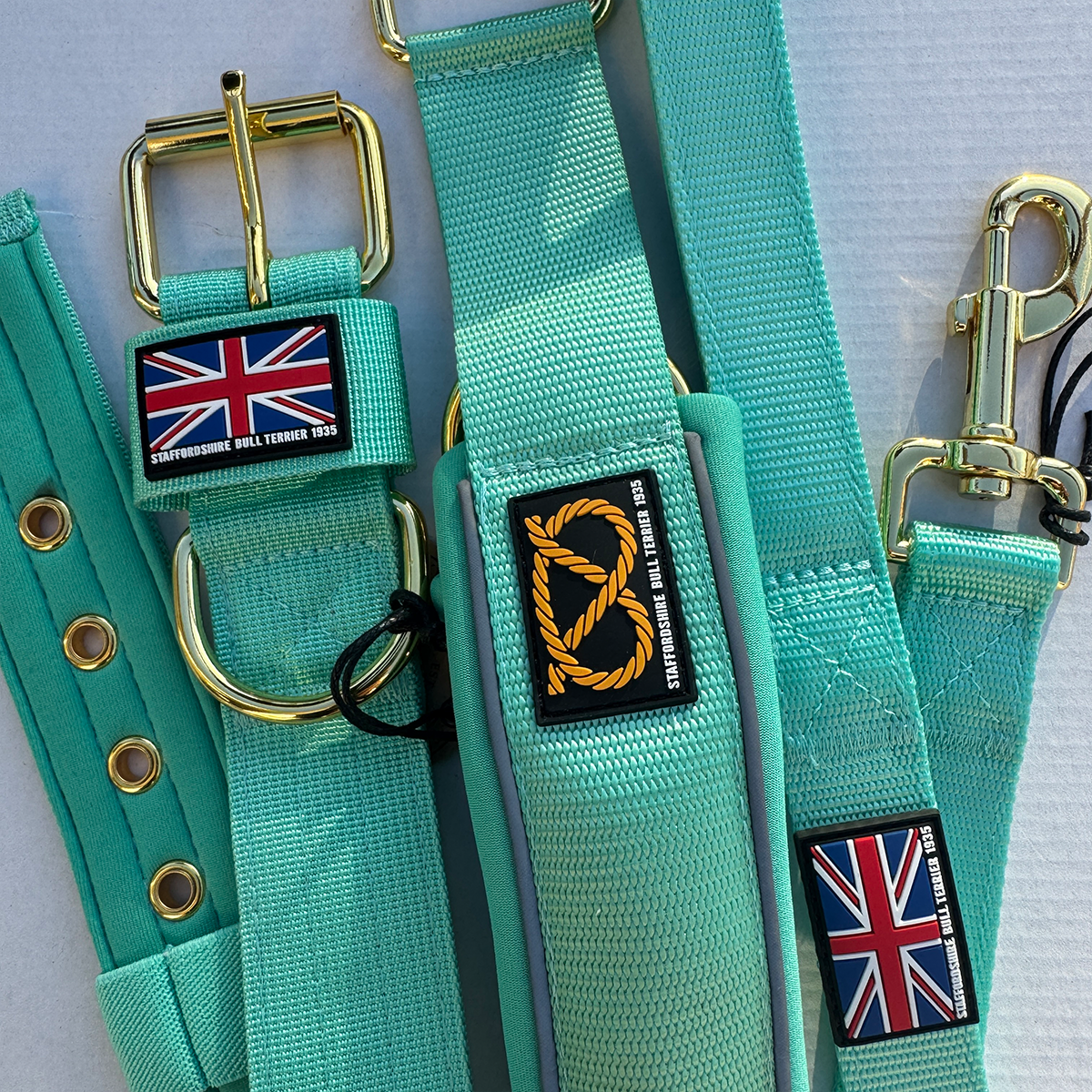 Staffordshire Bull Terrier 1935® Martingale Collar - Ayla Staffany Edition - Turquoise & Gold