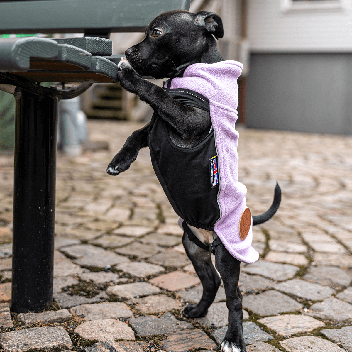 Staffordshire Bull Terrier 1935® Valp Fleecetäcke - Babylila
