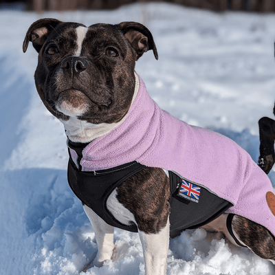 Staffordshire Bull Terrier 1935® Fleece Coat - Baby Lilac