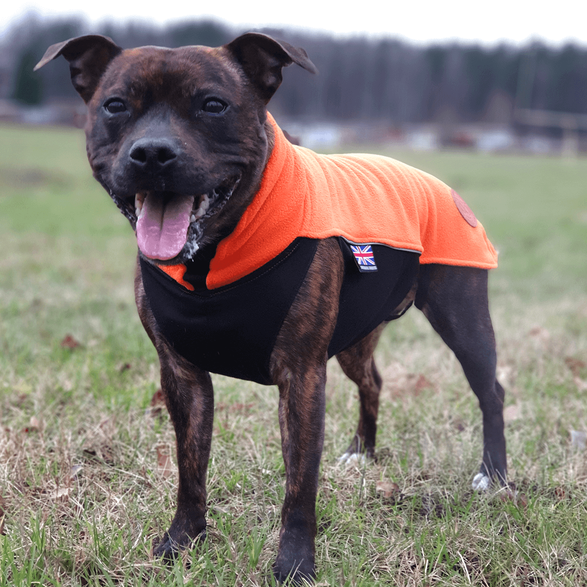 Staffordshire Bull Terrier 1935® Fleecetäcke  - Orange