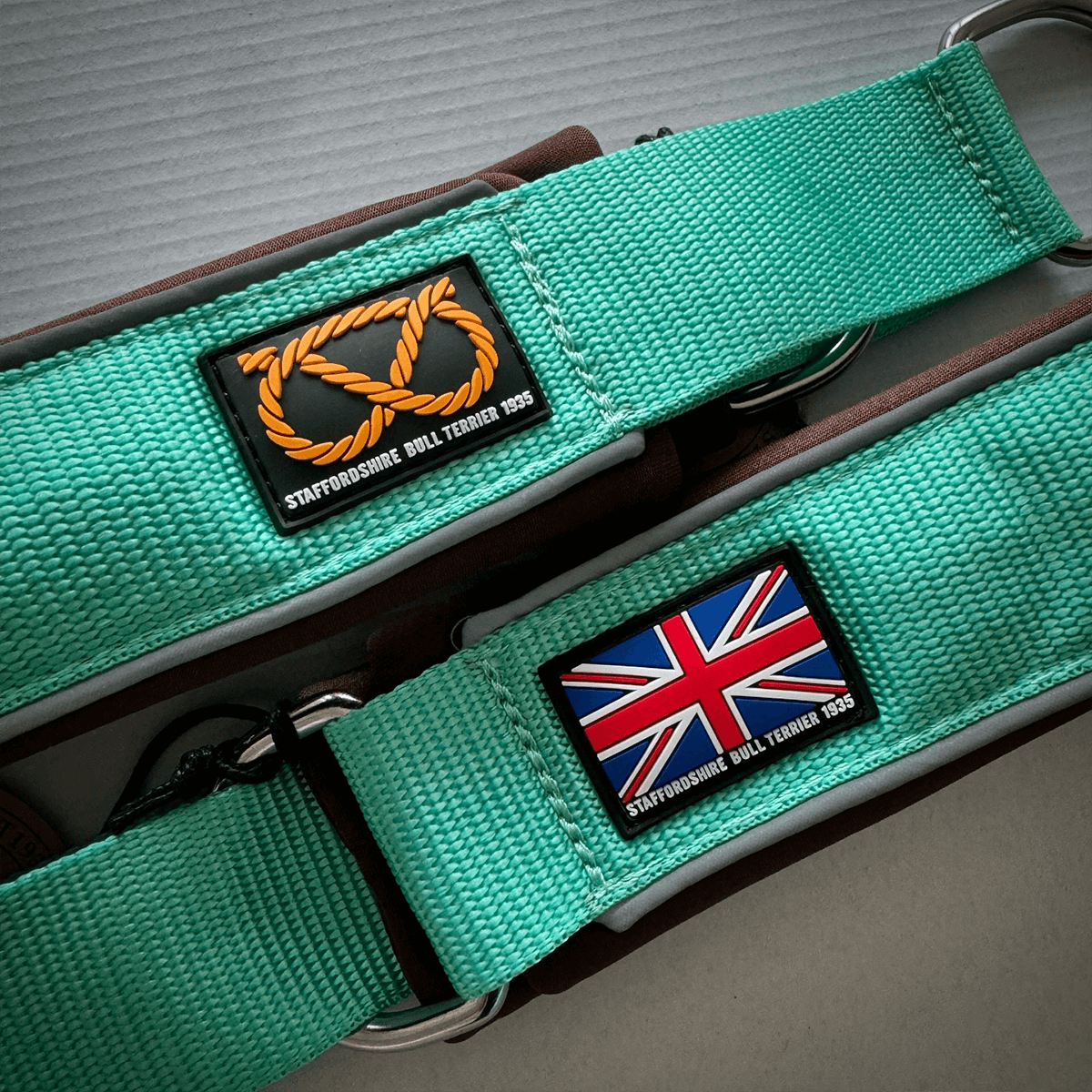 Staffordshire Bull Terrier 1935® Martingale Halsband - Bruce Edition - Mint & Choklad