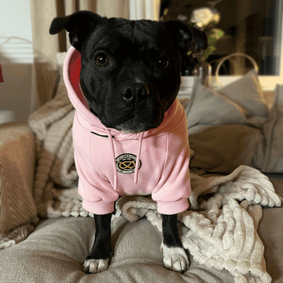 Staffordshire Bull Terrier 1935® Hoodies - Baby Pink