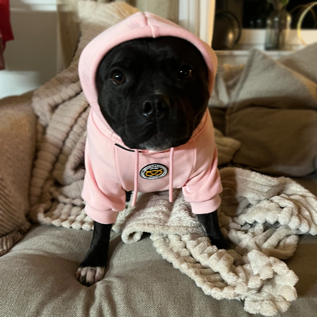 Staffordshire Bullterrier 1935® Hoodie - Babyrosa
