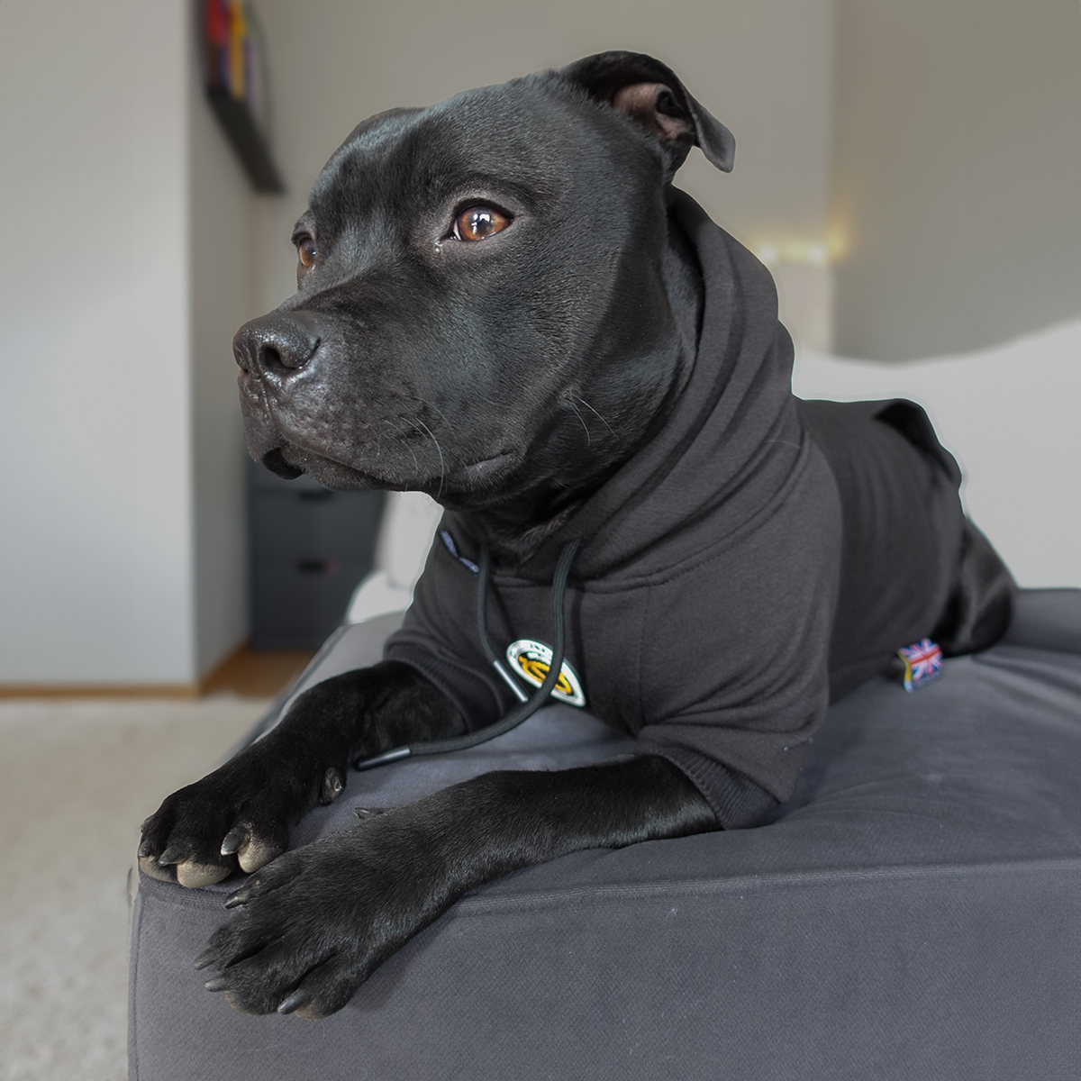 Staffordshire Bullterrier 1935® Hoodie - Svart