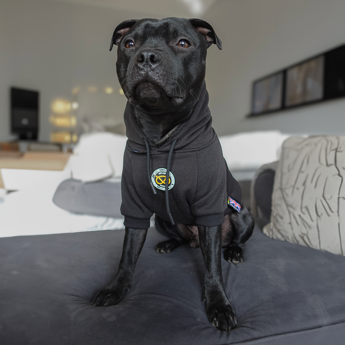 Staffordshire Bullterrier 1935® Hoodie - Svart