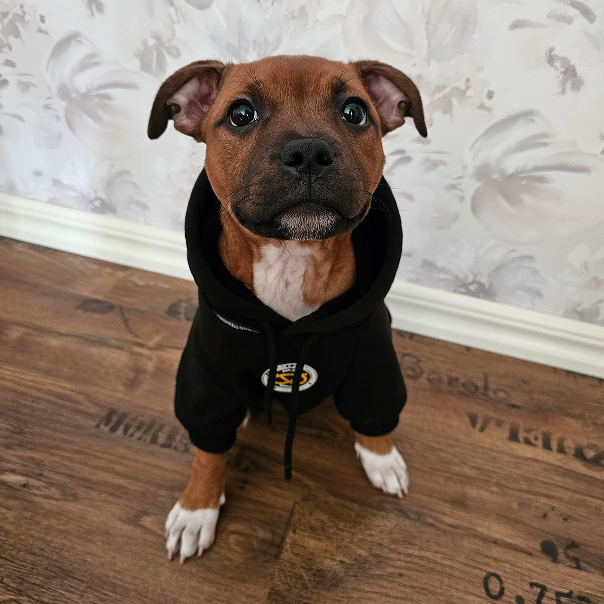 Staffordshire Bullterrier 1935® Hoodie - Svart