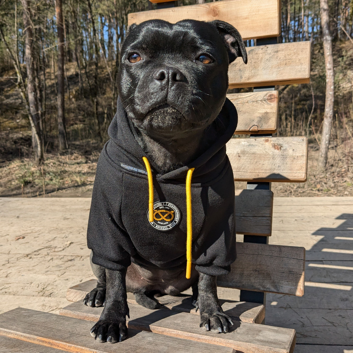 Staffordshire Bullterrier 1935® Extra Hoodie-snören