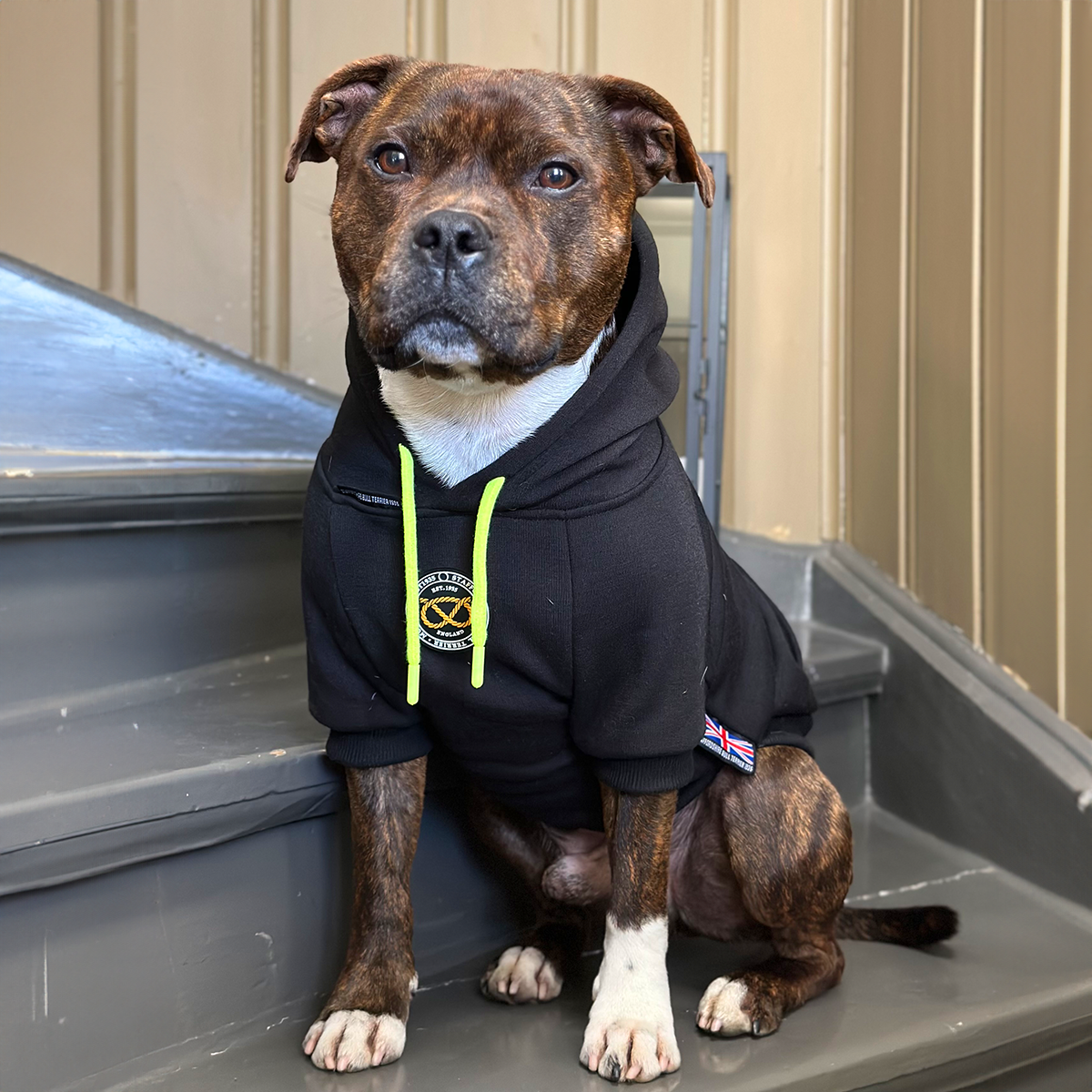 Staffordshire Bullterrier 1935® Extra Hoodie-snören