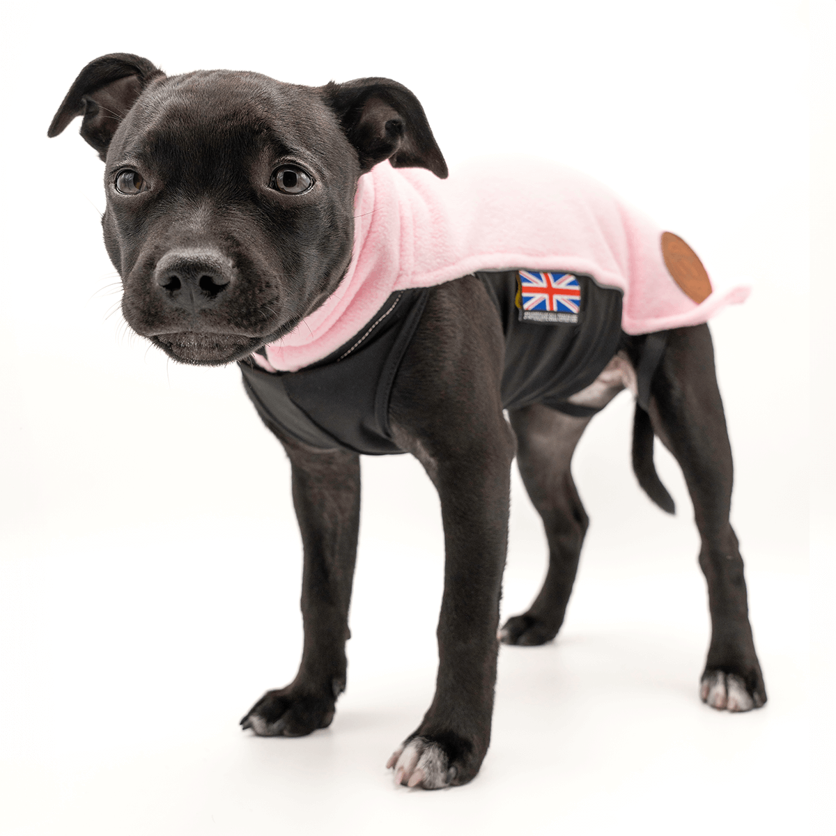 Staffordshire Bull Terrier 1935® Valp Fleecetäcke - Babyrosa