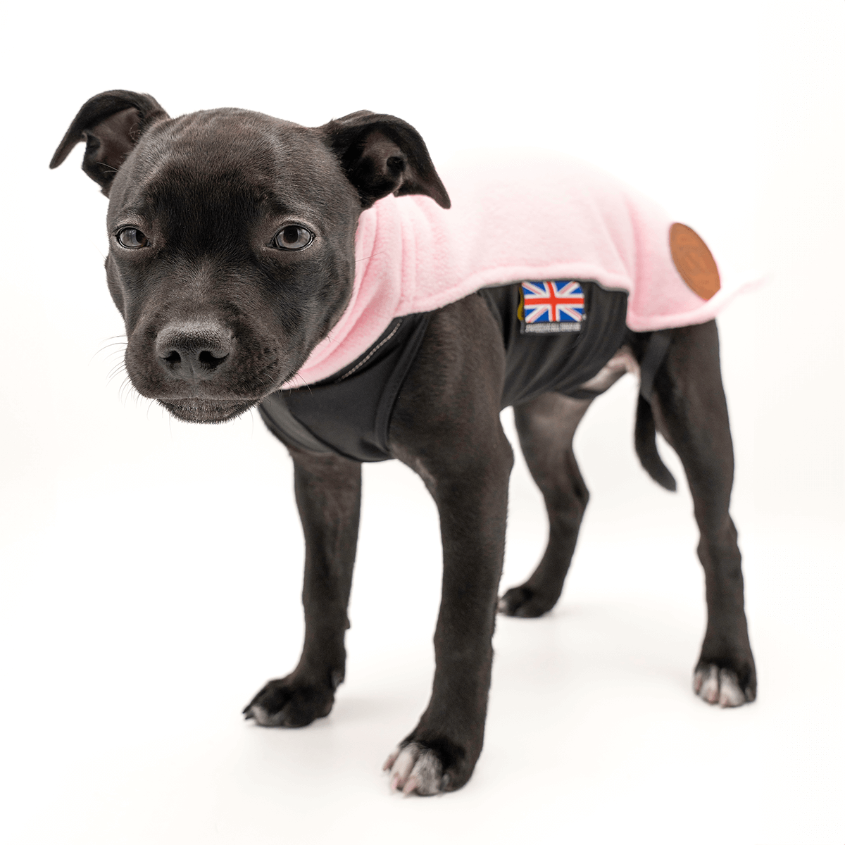 Staffordshire Bull Terrier 1935® Valp Fleecetäcke - Babyrosa