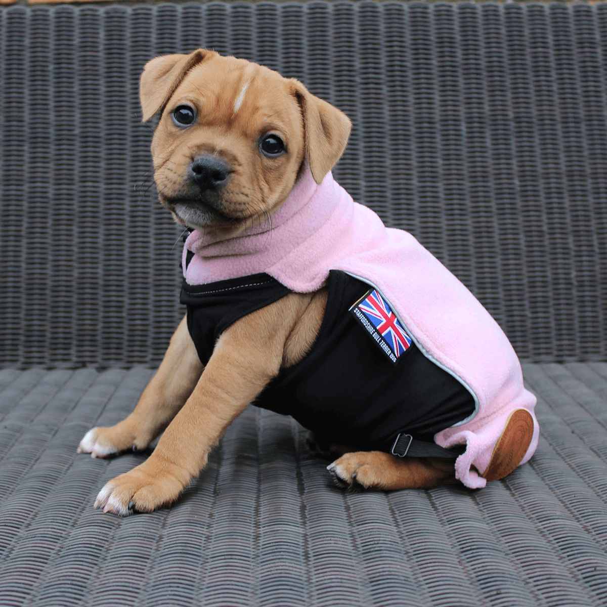 Staffordshire Bull Terrier 1935® Valp Fleecetäcke - Babyrosa