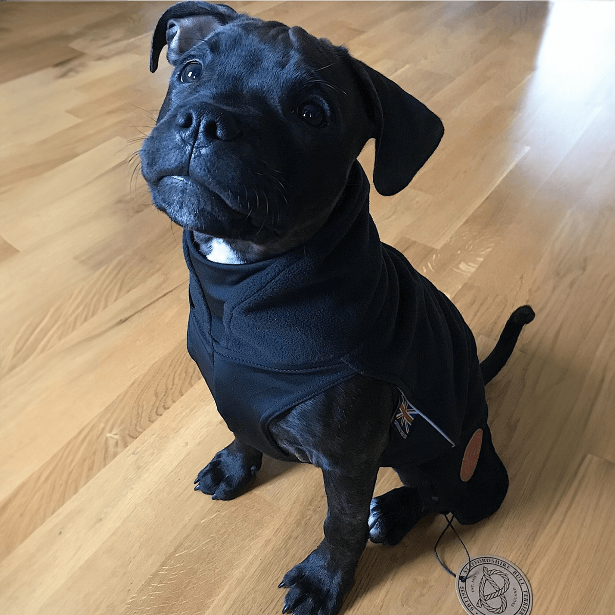 Staffordshire Bull Terrier 1935® Valp Fleecetäcke - Svart
