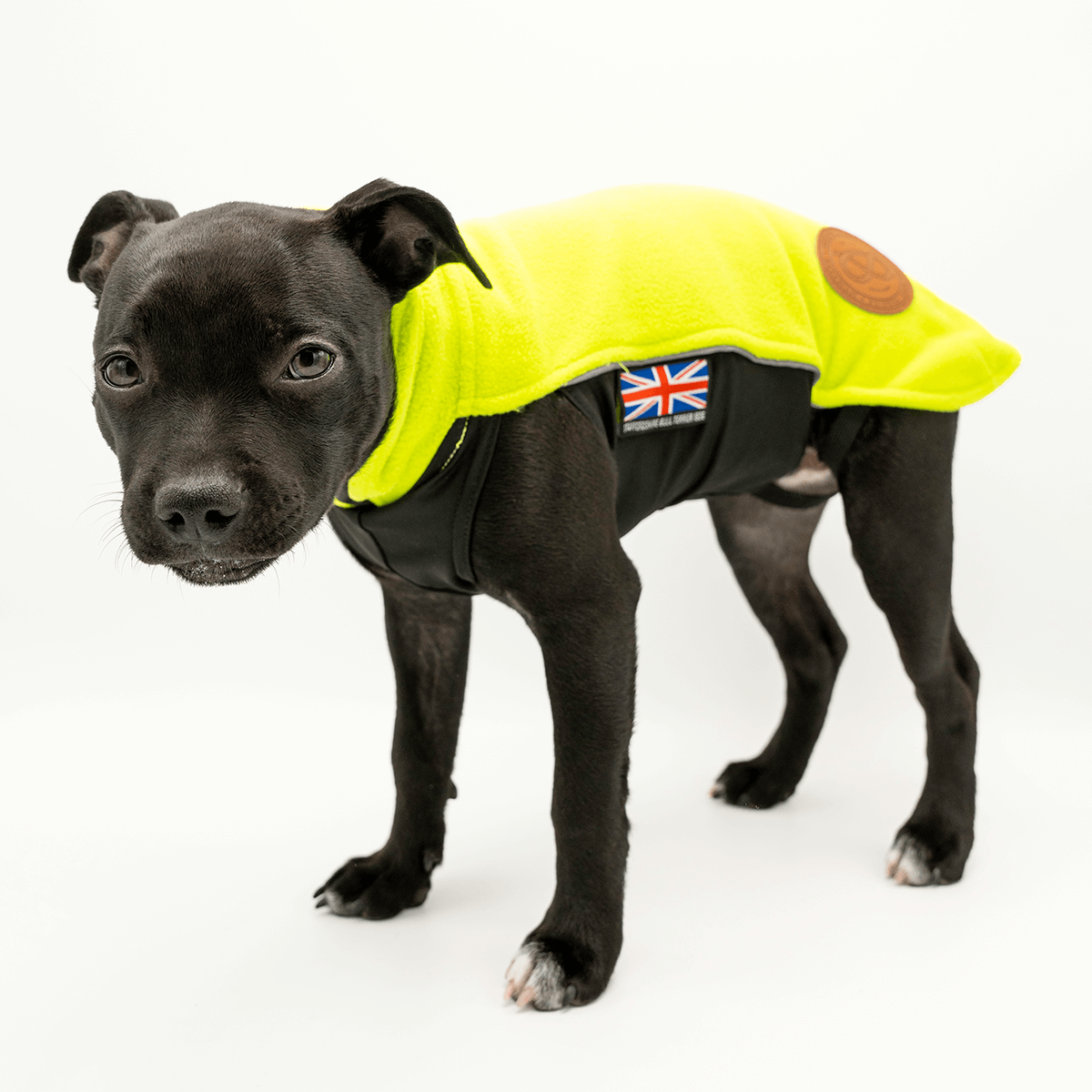 Staffordshire Bull Terrier 1935® Valp Fleecetäcke - Neongrön