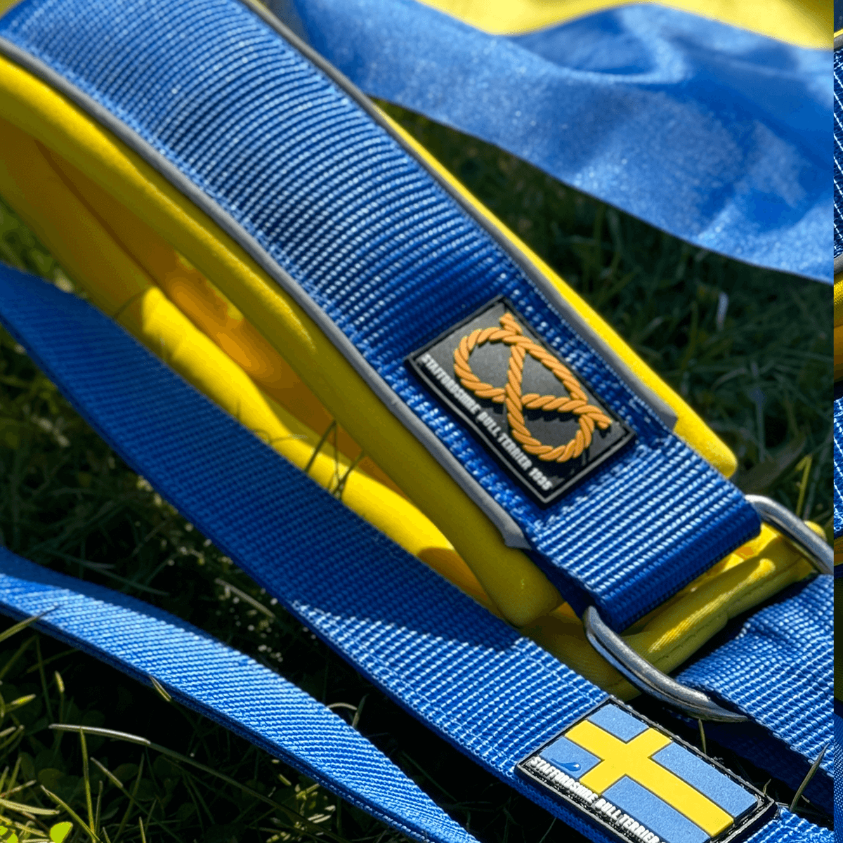 Staffordshire Bull Terrier 1935® Martingale Halsband - Sverige Edition - Blå & Gul