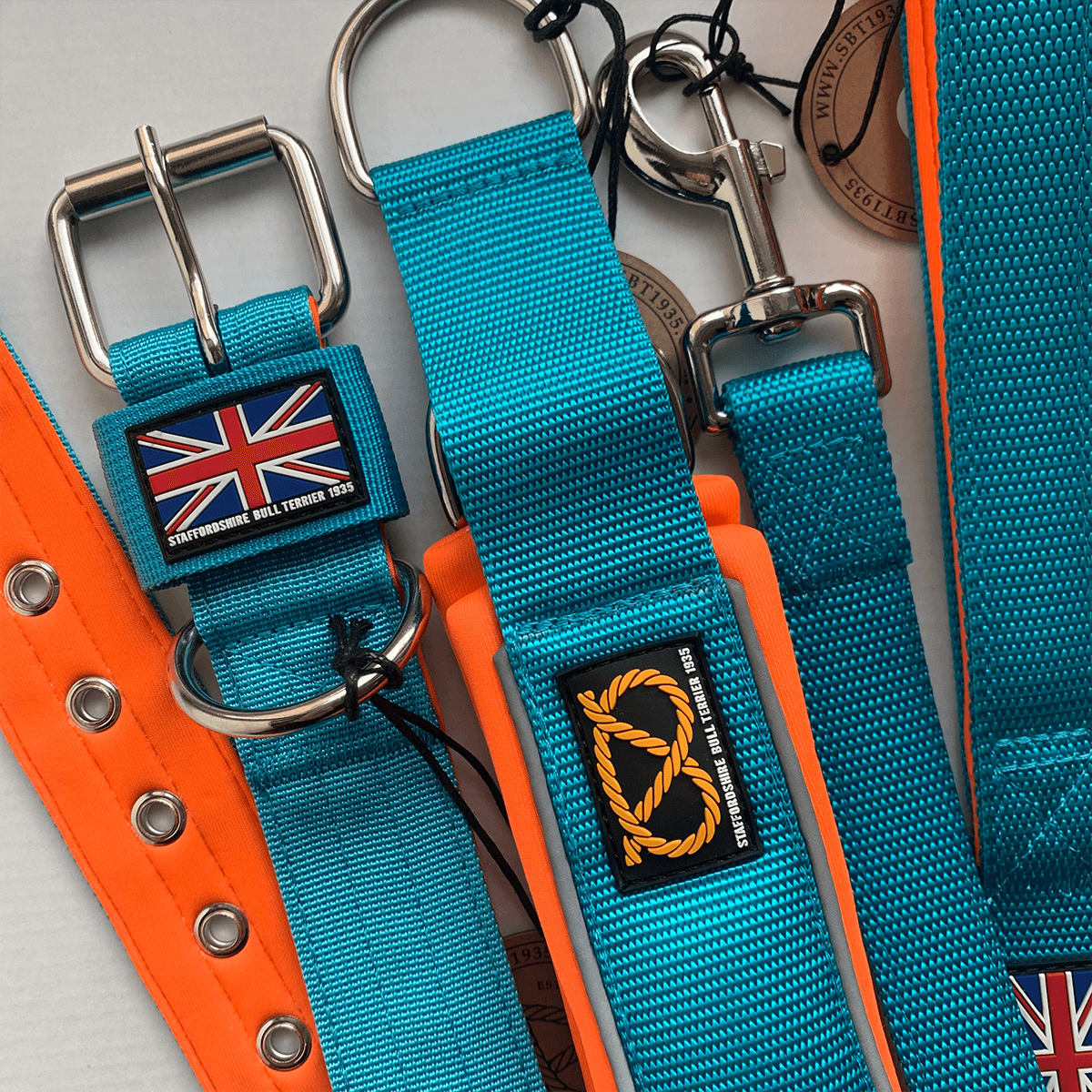 Staffordshire Bull Terrier 1935® Martingale Collar 