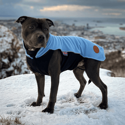 Staffordshire Bull Terrier 1935® Manteau Polaire - Bleu Bébé