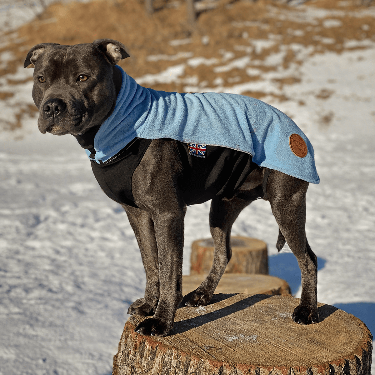 Staffordshire Bull Terrier 1935® Fleece Coat - Baby Blue