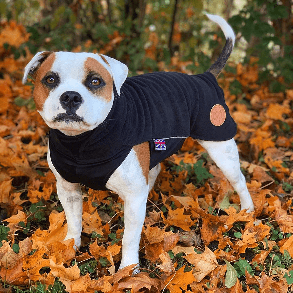 Fleece Coat Staffordshire Bull Terrier 1935®